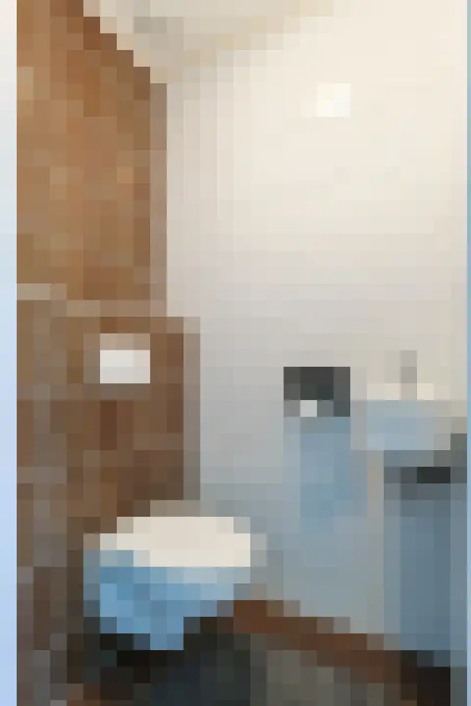Torenwacht 32 Leiderdorp thumbnail 34