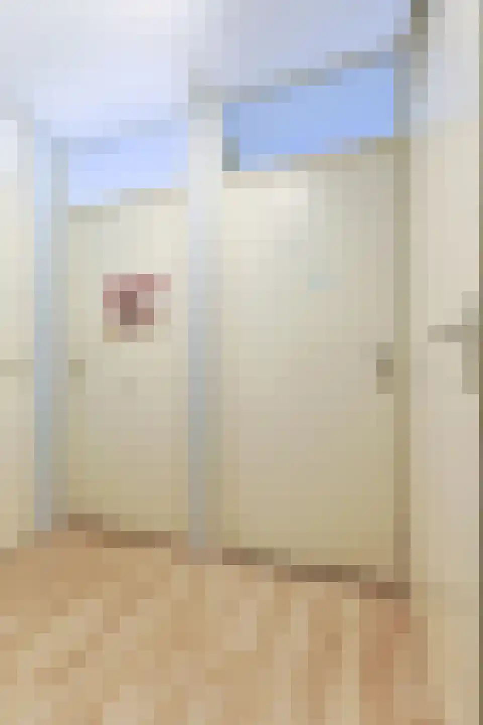 Torenwacht 32 Leiderdorp thumbnail 47