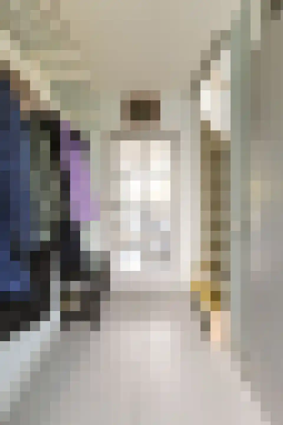 Torenwacht 32 Leiderdorp thumbnail 5