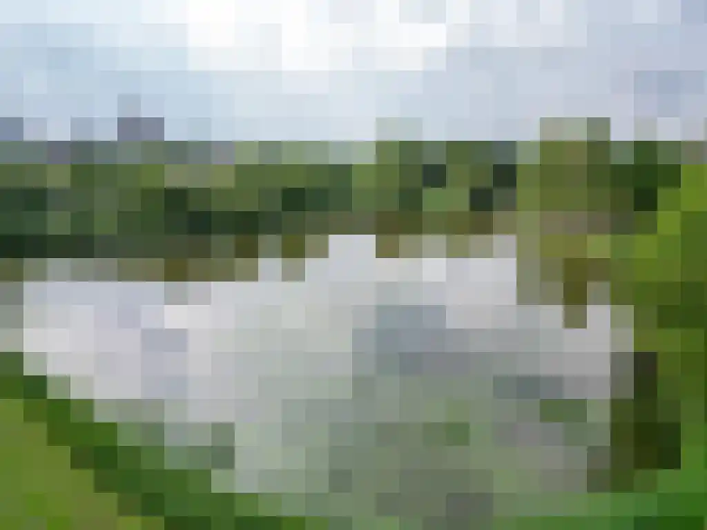 Torenwacht 84 Leiderdorp thumbnail 22