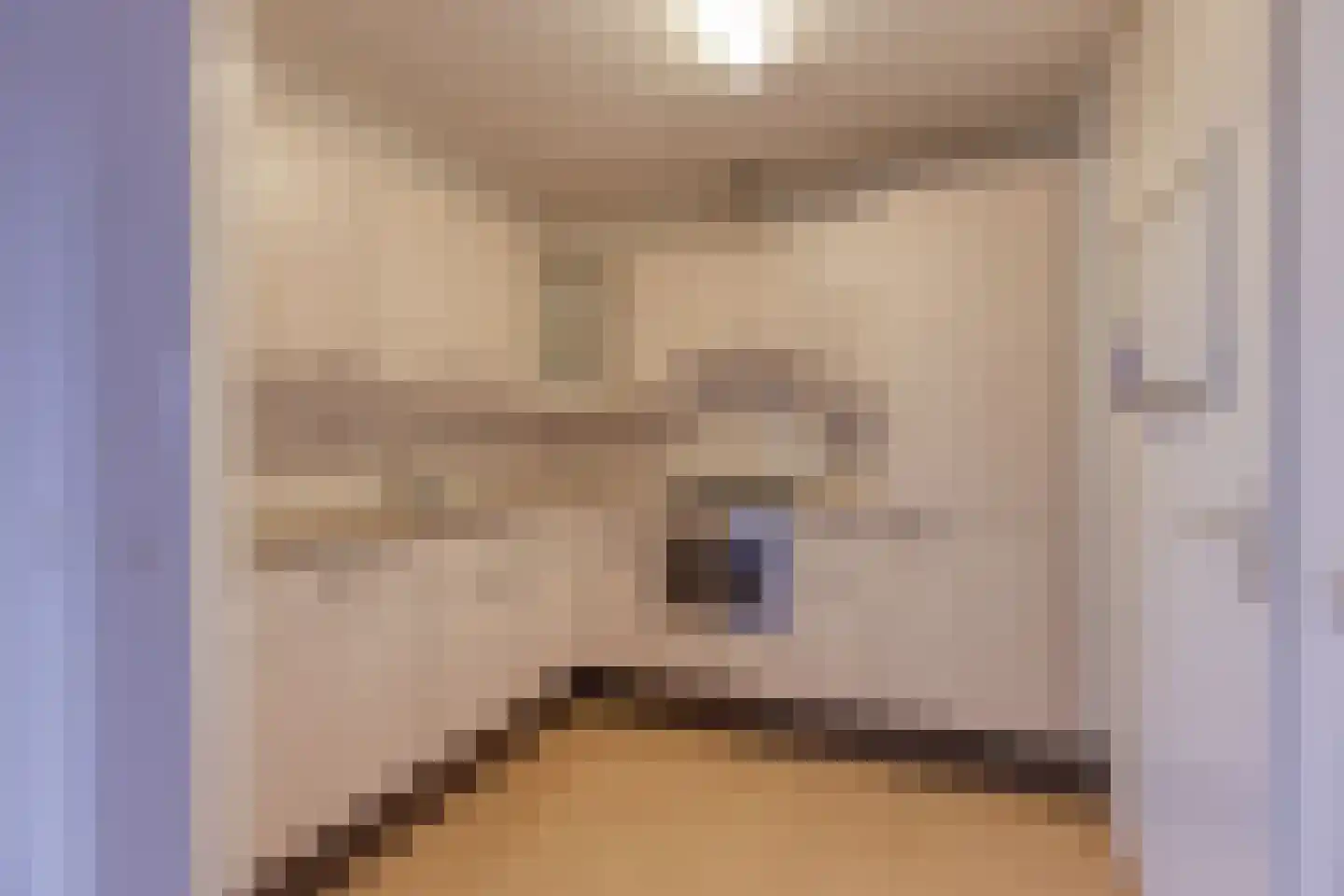 Torenwacht 97 Leiderdorp thumbnail 6