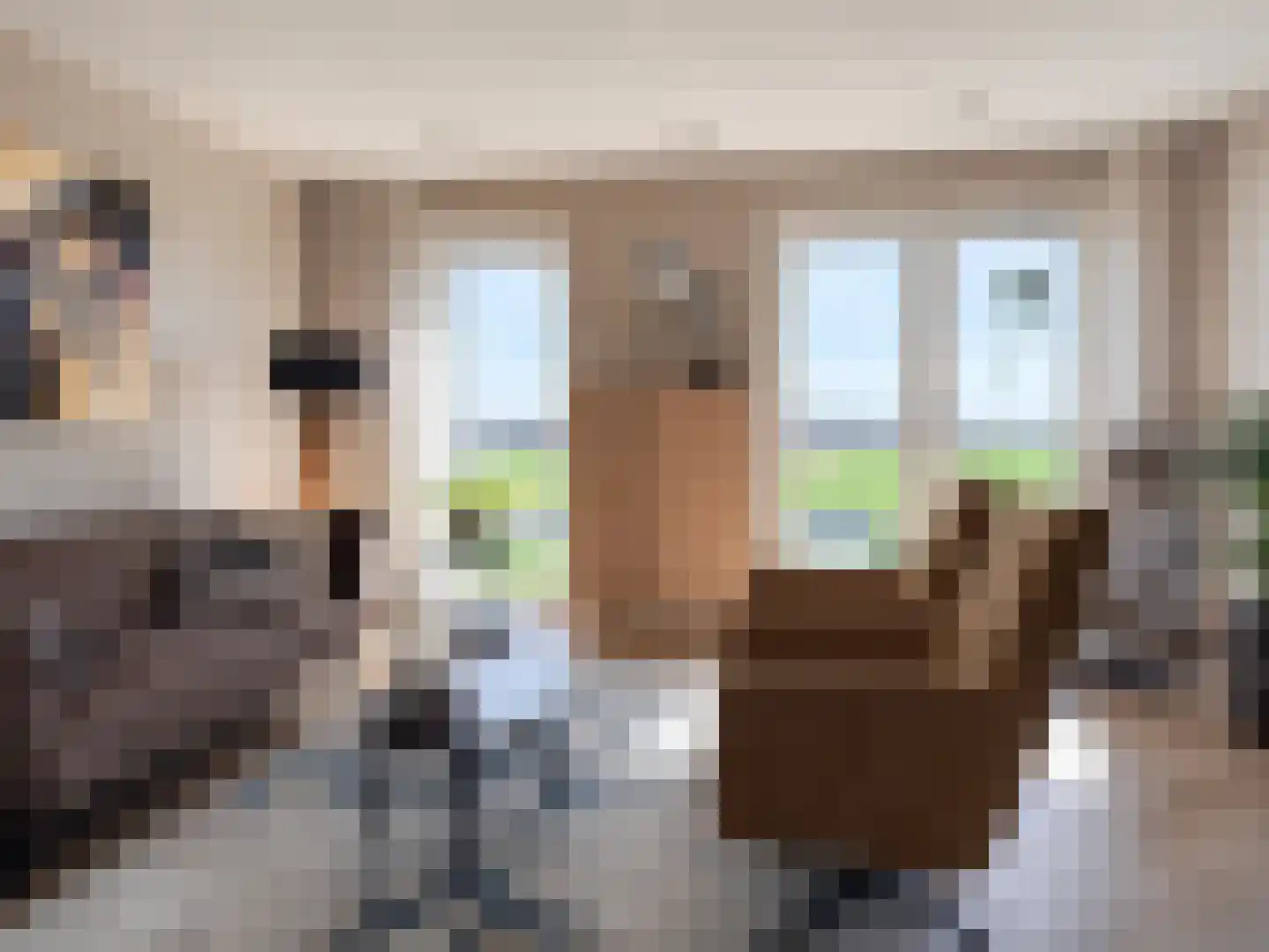 Torenwachter 12 Hasselt thumbnail 17