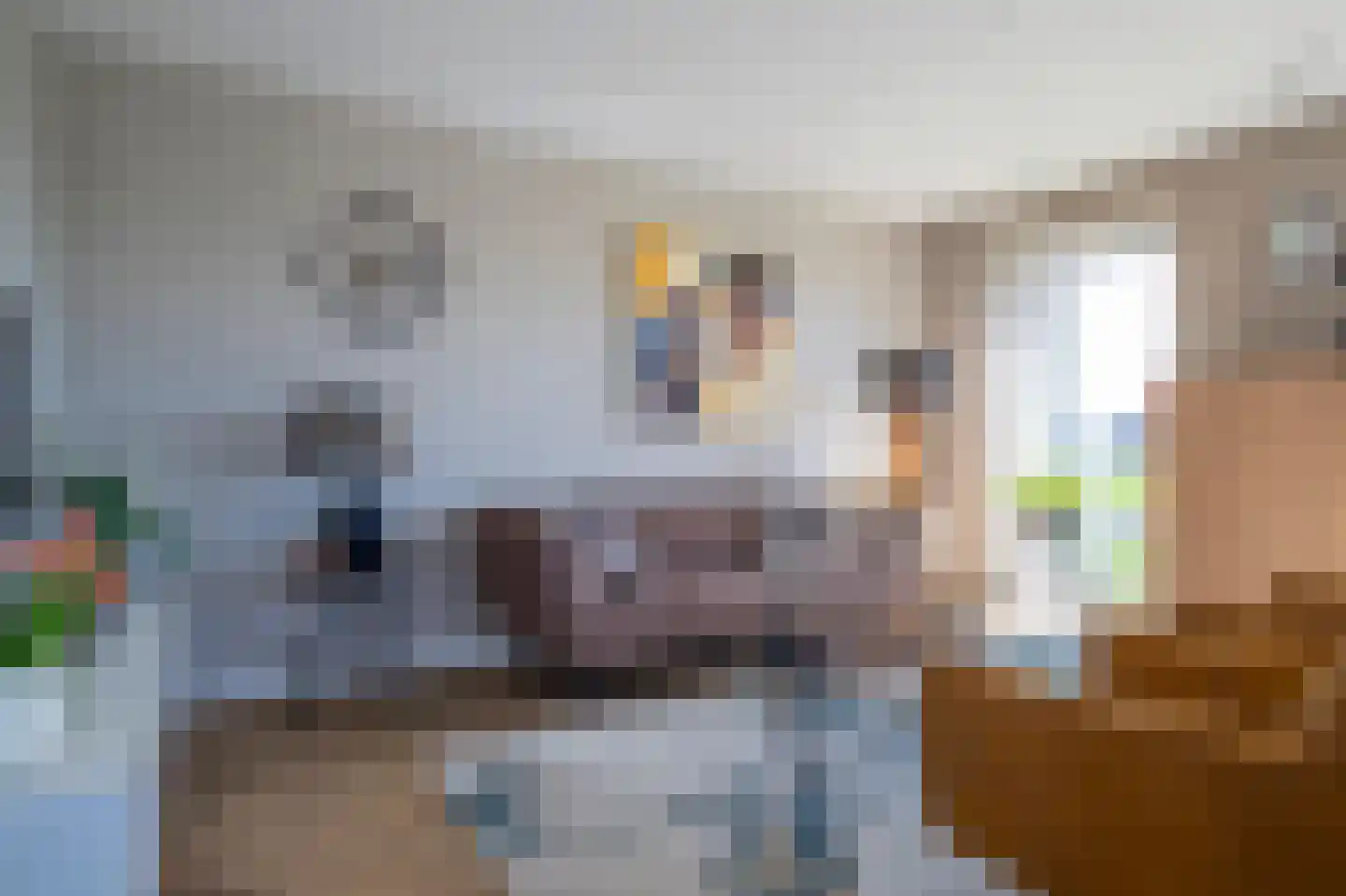 Torenwachter 12 Hasselt thumbnail 18