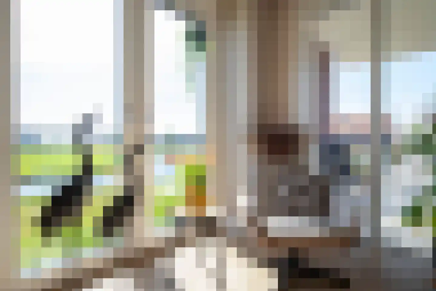 Torenwachter 12 Hasselt thumbnail 19