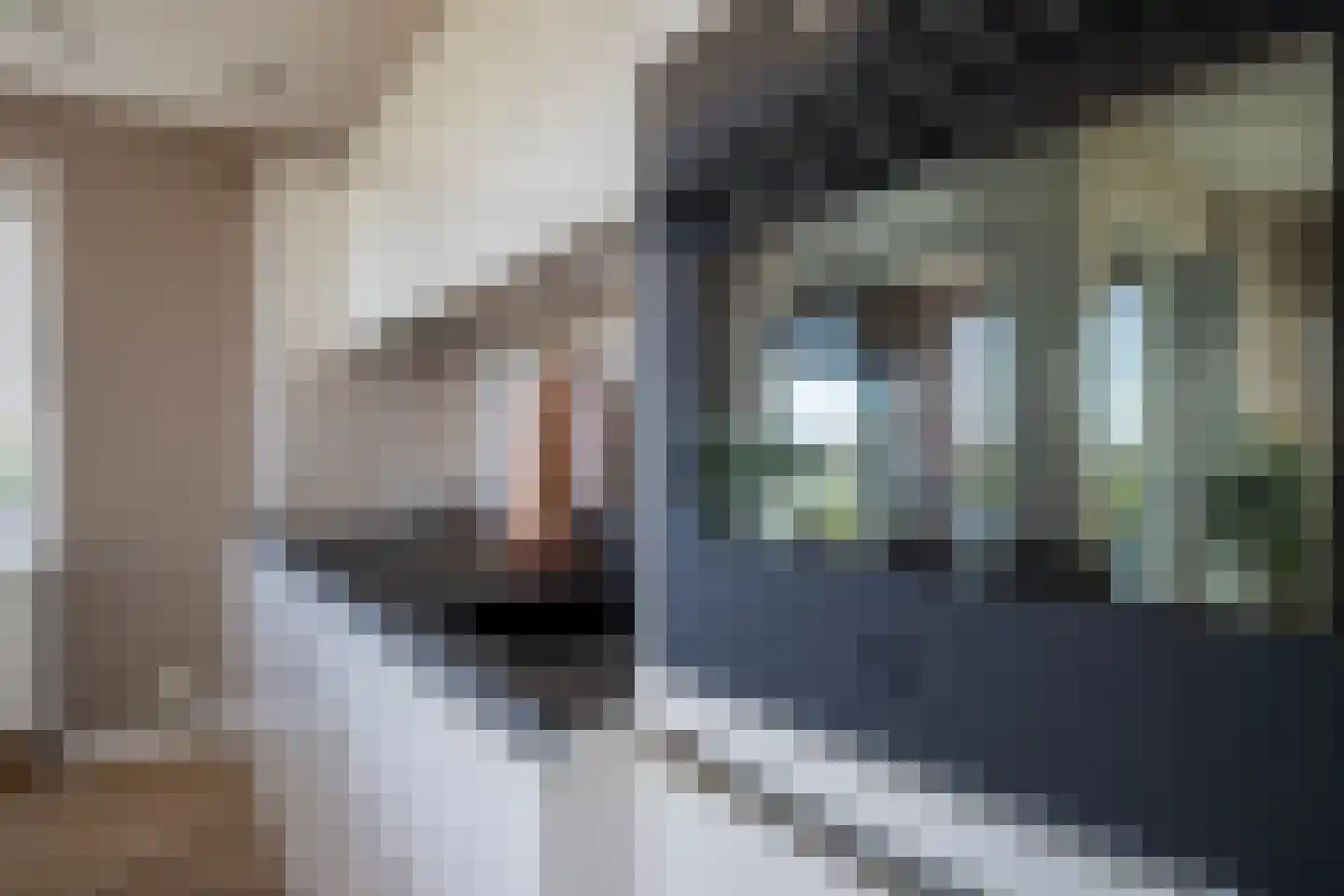 Torenwachter 12 Hasselt thumbnail 22