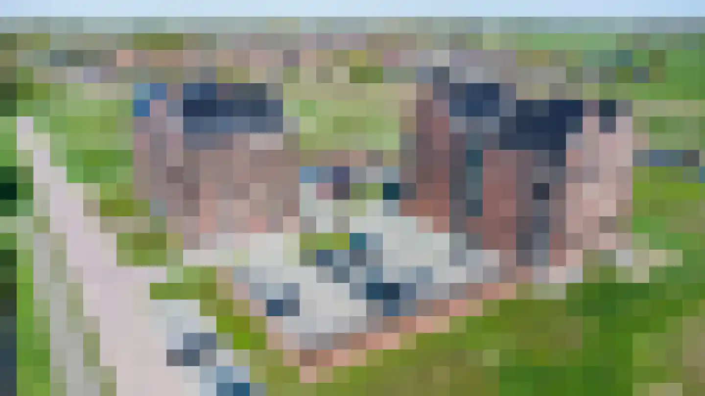 Torenwachter 12 Hasselt thumbnail 4