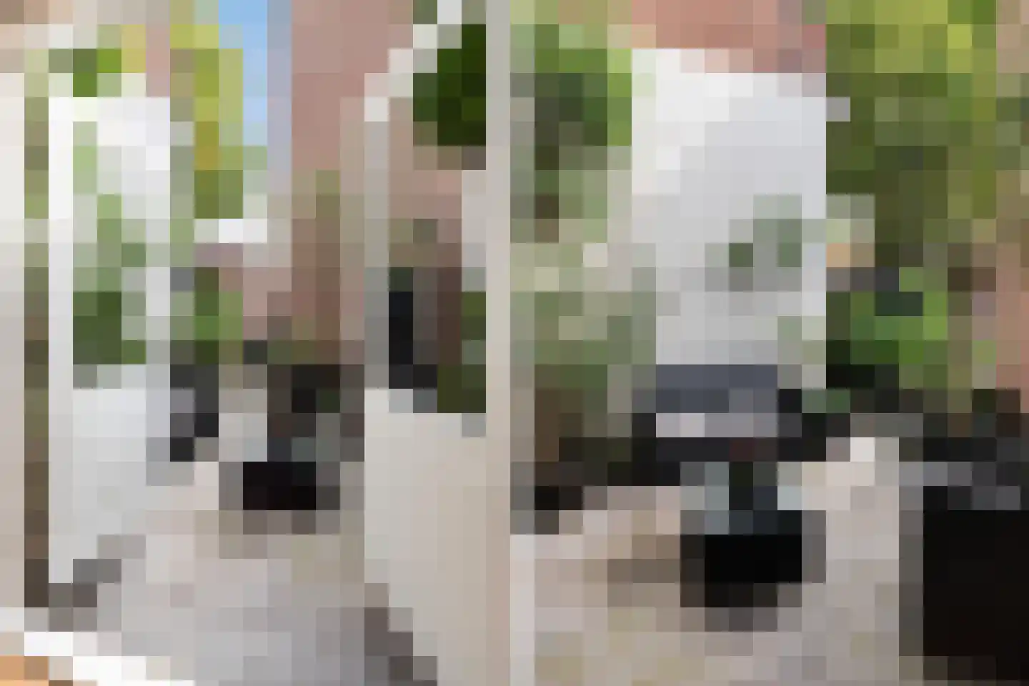 Torenwal 2 I Woerden thumbnail 18