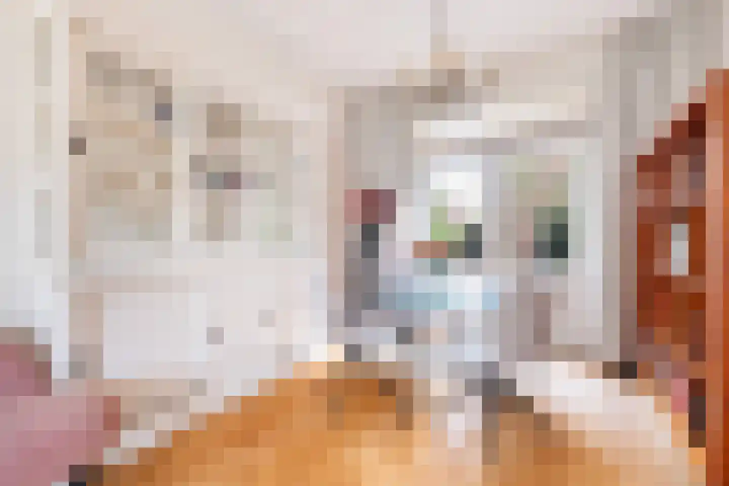 Torenwal 2 I Woerden thumbnail 8