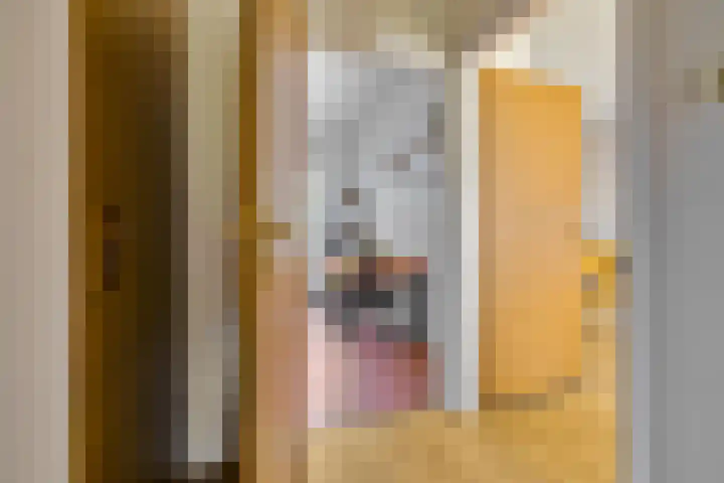 Torenweg 11 Adorp thumbnail 11