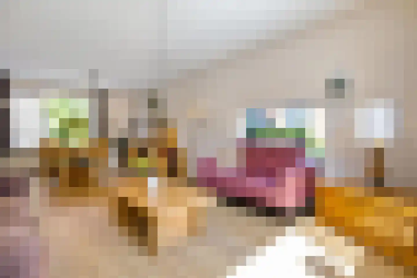 Torenweg 11 Adorp thumbnail 15