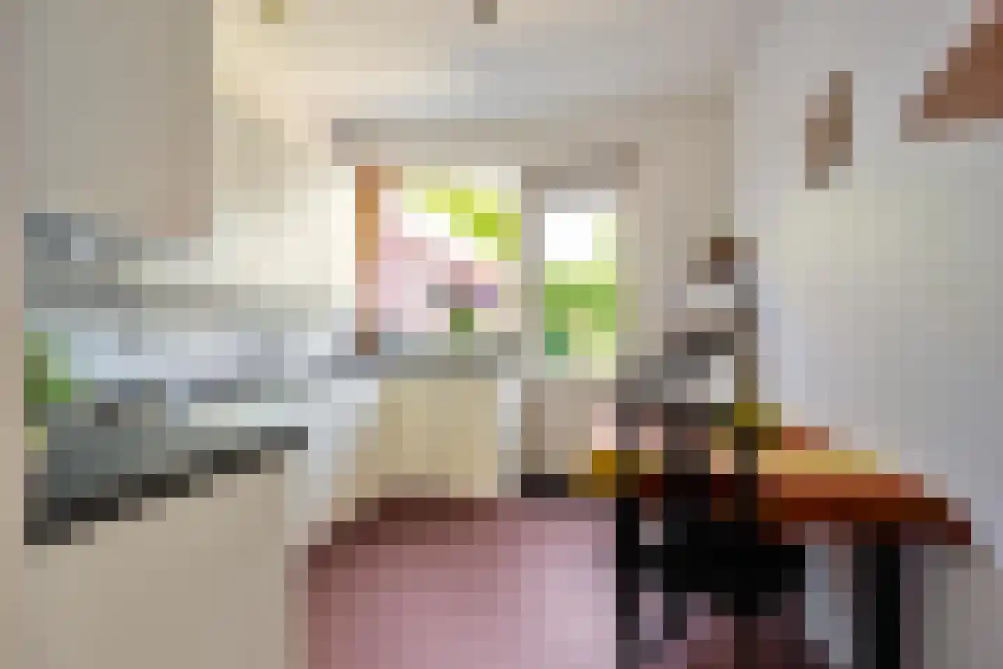 Torenweg 11 Adorp thumbnail 17