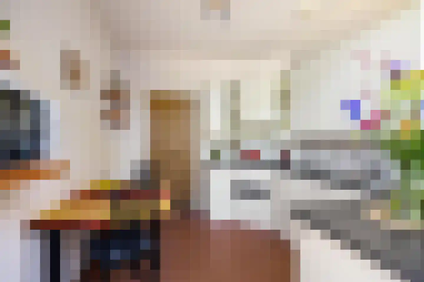 Torenweg 11 Adorp thumbnail 18