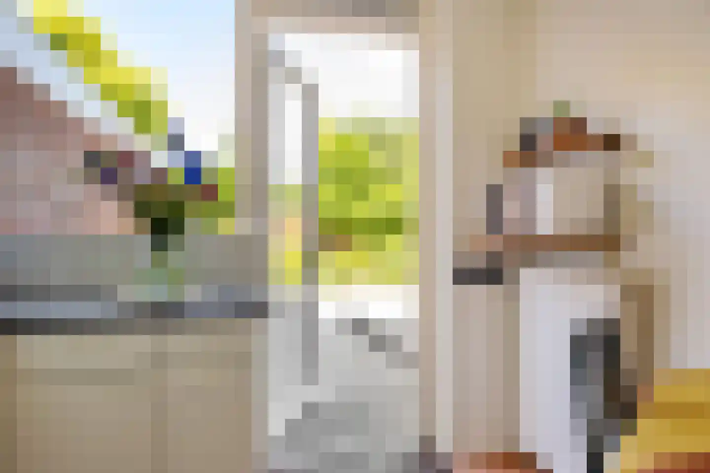 Torenweg 11 Adorp thumbnail 19