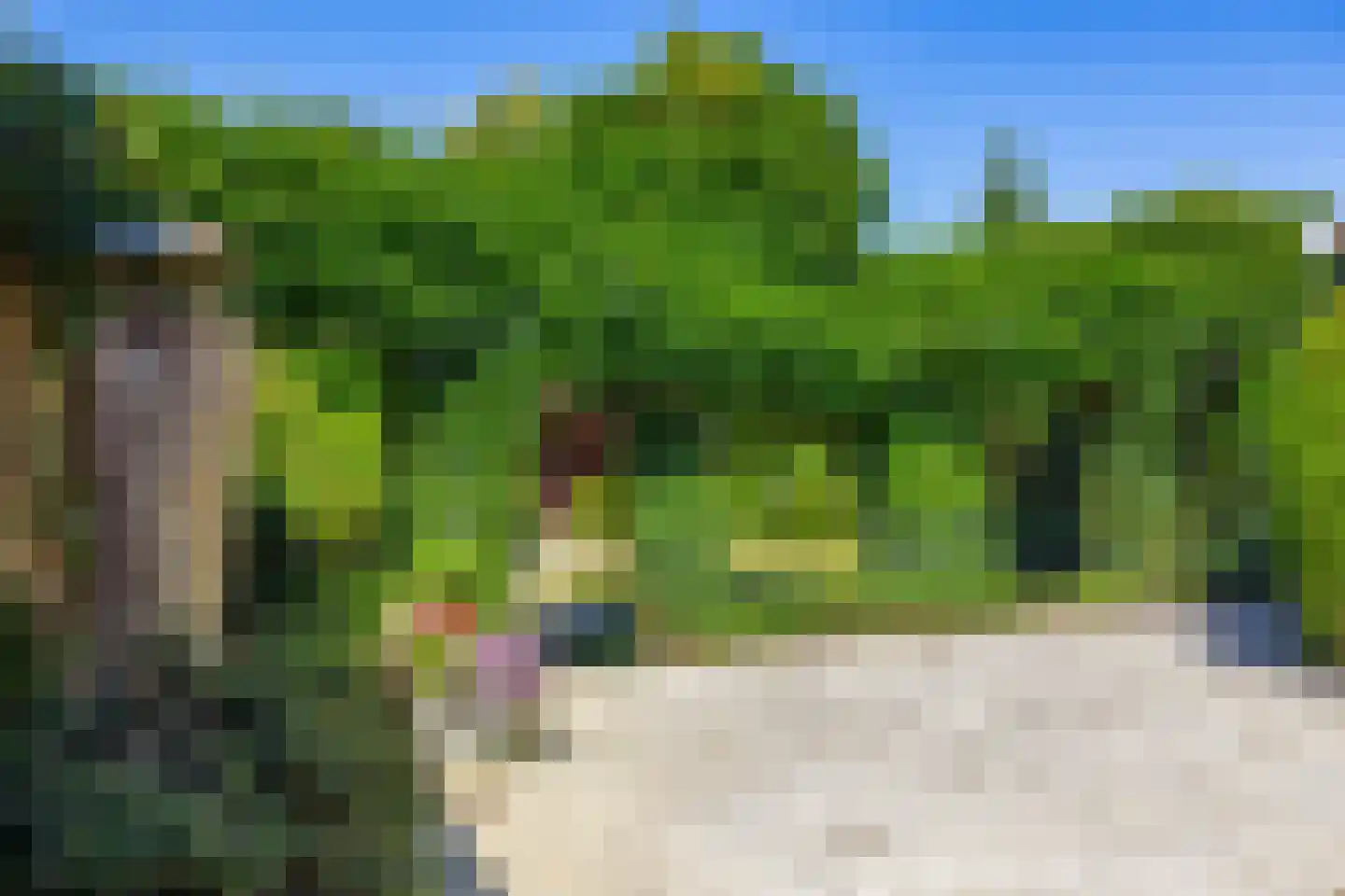 Torenweg 11 Adorp thumbnail 21