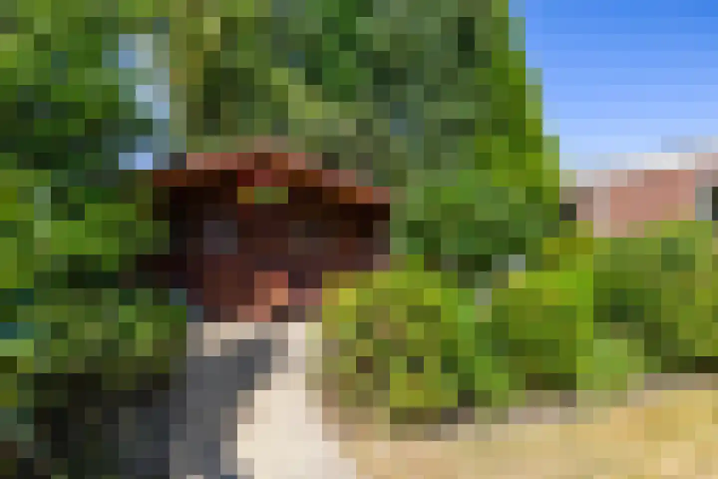 Torenweg 11 Adorp thumbnail 23