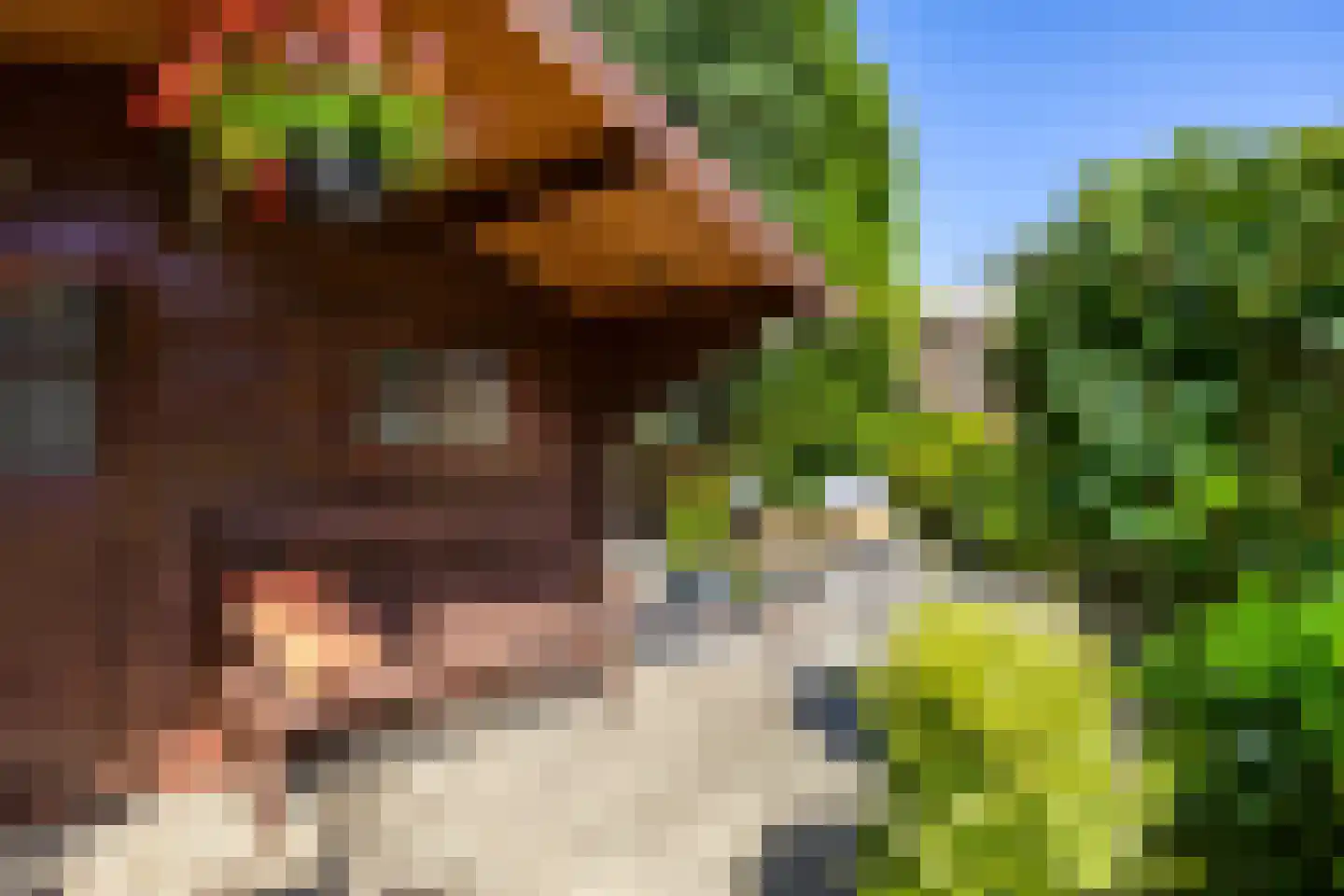 Torenweg 11 Adorp thumbnail 24