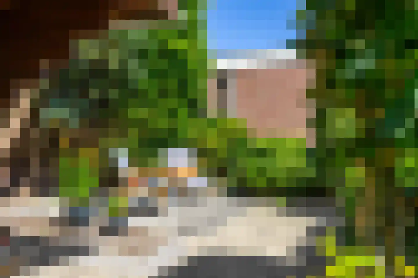 Torenweg 11 Adorp thumbnail 25