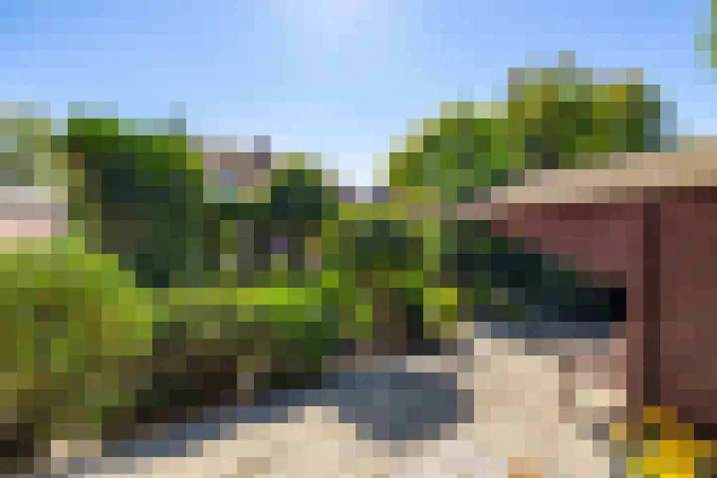 Torenweg 11 Adorp thumbnail 26