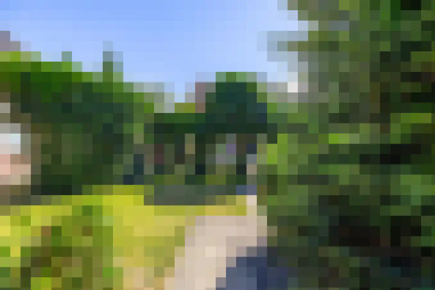 Torenweg 11 Adorp thumbnail 27