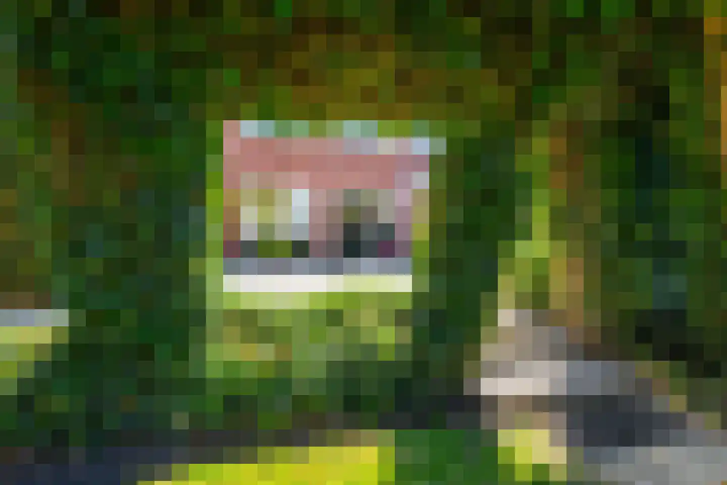 Torenweg 11 Adorp thumbnail 29