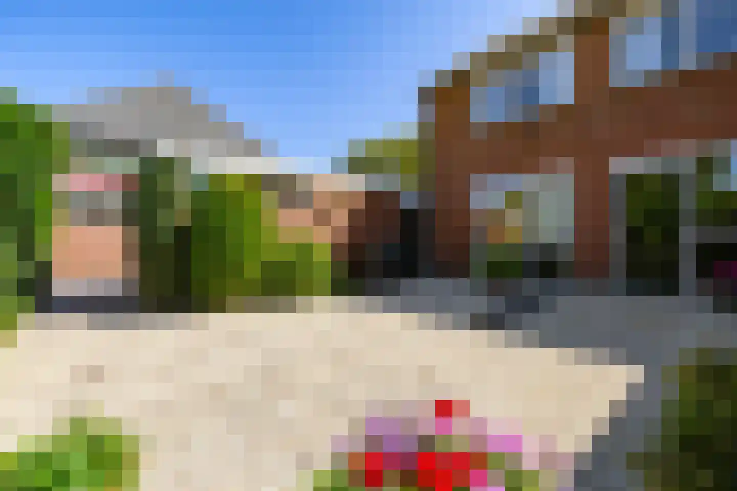 Torenweg 11 Adorp thumbnail 32