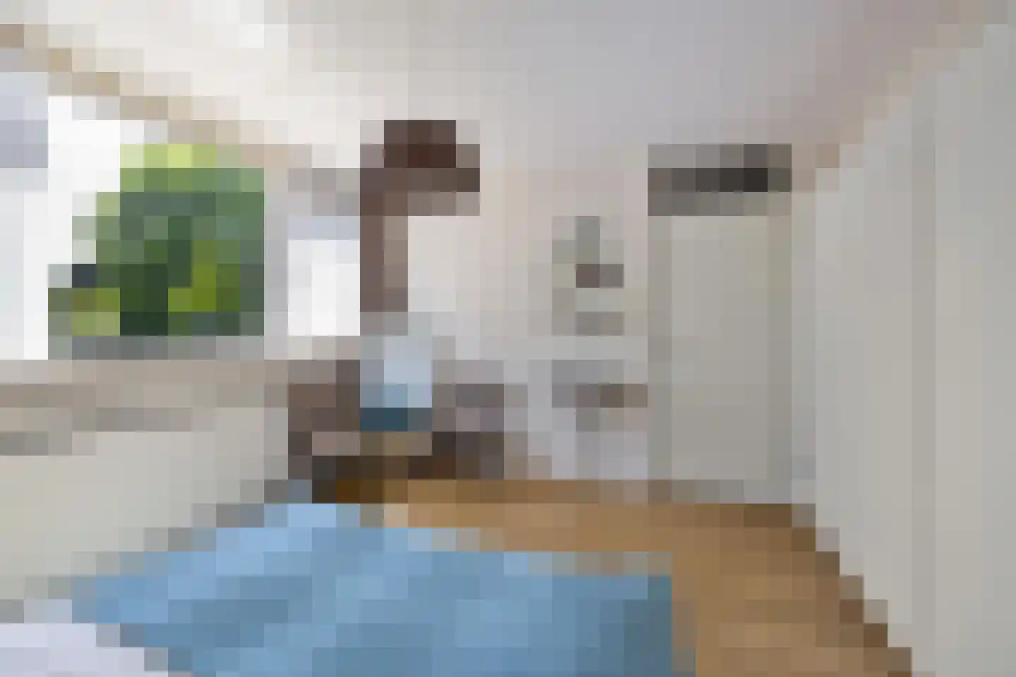 Torenweg 11 Adorp thumbnail 37