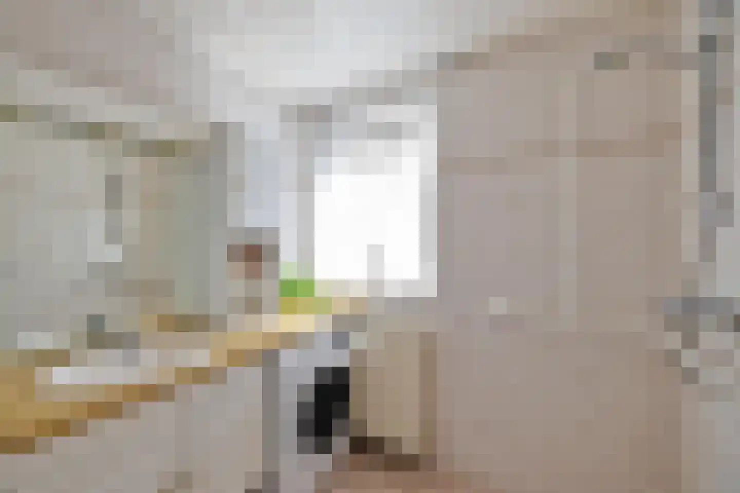 Torenweg 11 Adorp thumbnail 40