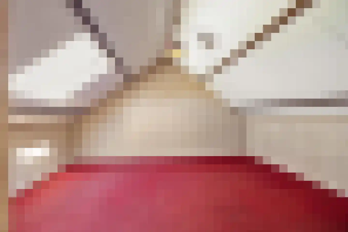 Torenweg 11 Adorp thumbnail 45