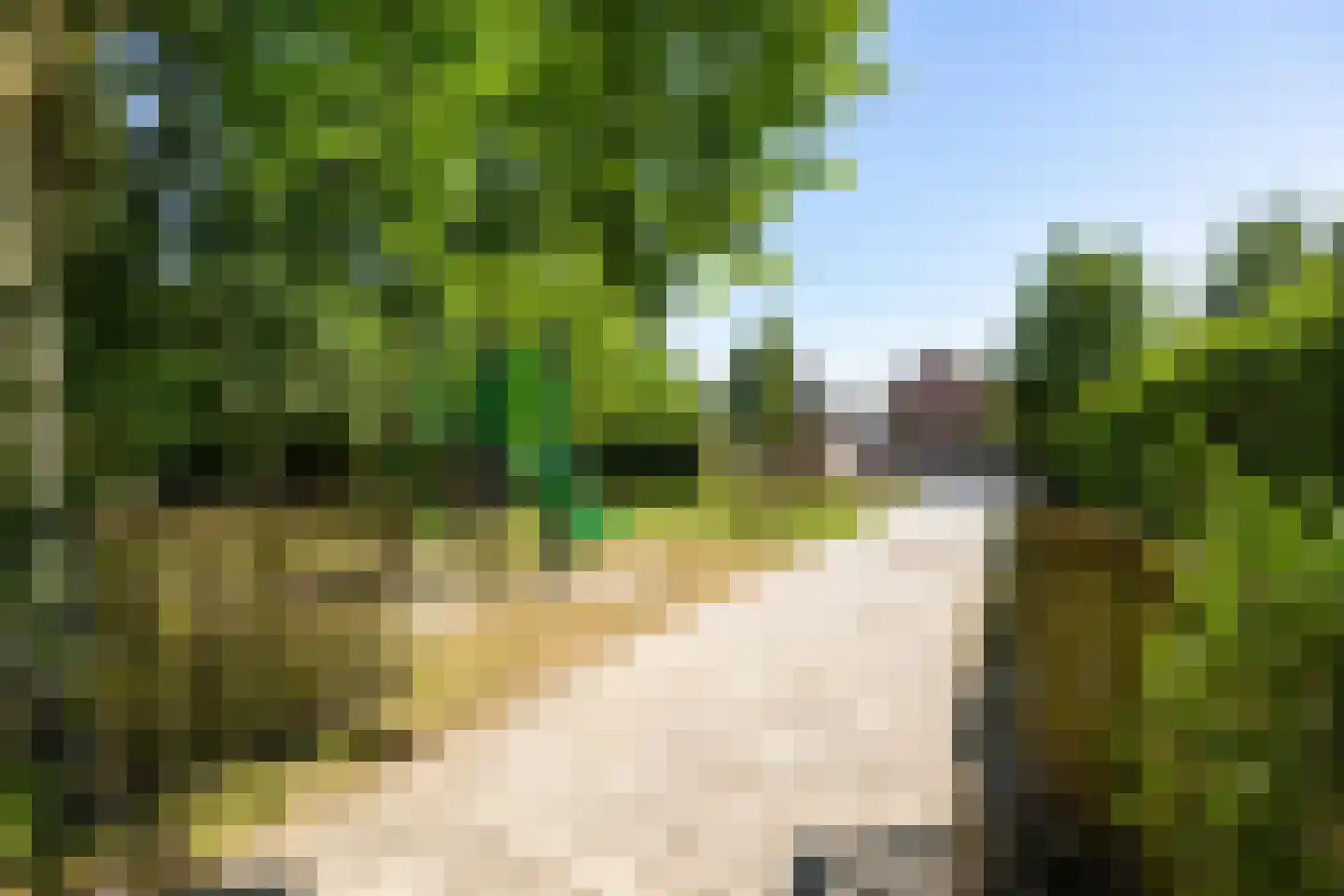 Torenweg 11 Adorp thumbnail 49