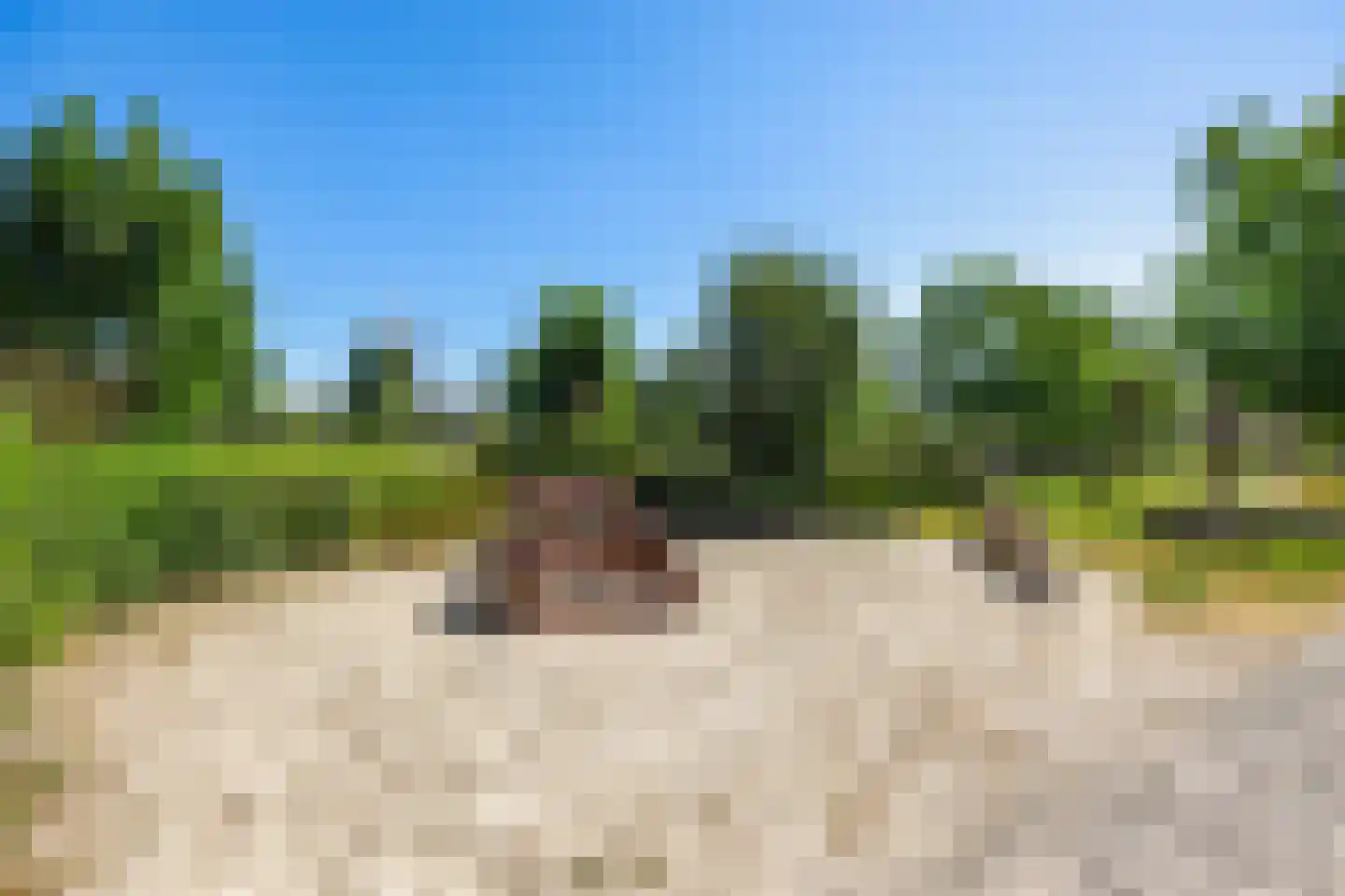 Torenweg 11 Adorp thumbnail 51