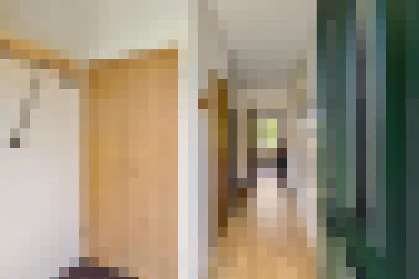 Torenweg 11 Adorp thumbnail 8