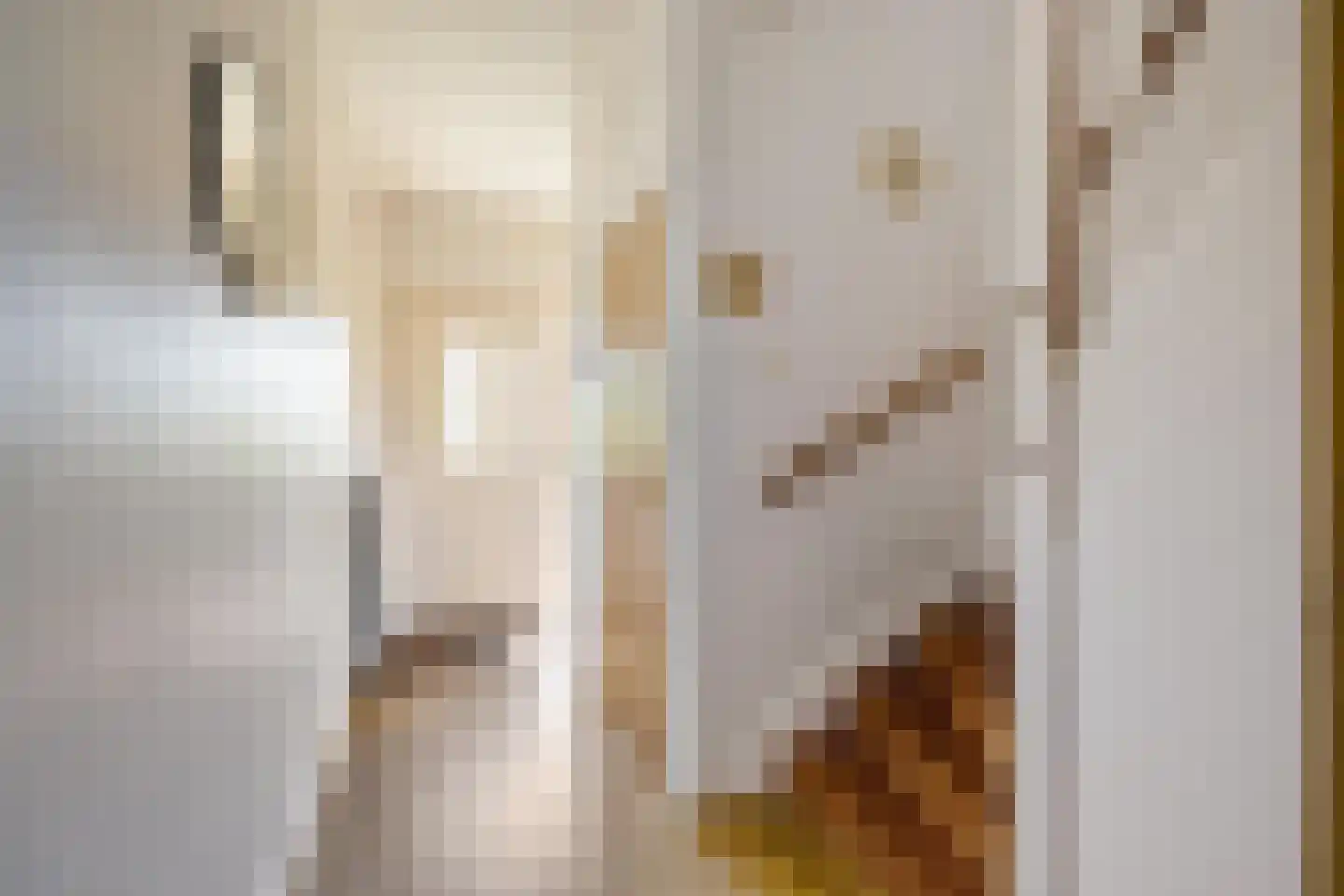 Torenweg 11 Adorp thumbnail 9