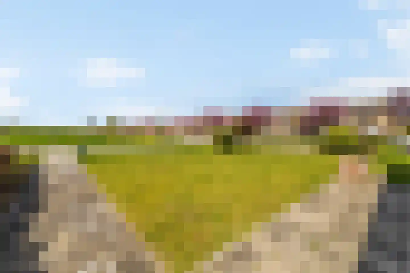 Torenweg 11 Nederhorst den Berg thumbnail 6