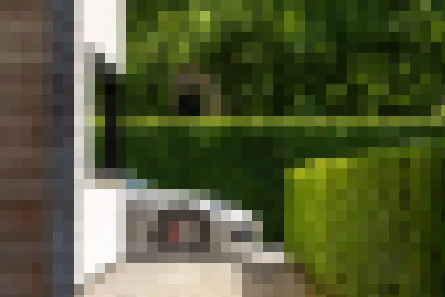 Torenweg 12 Mierlo thumbnail 7