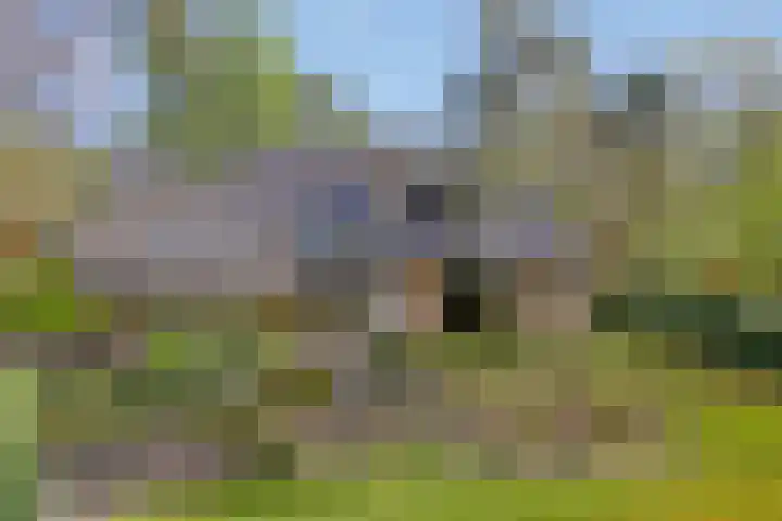 Torenweg 17 Epe thumbnail 35