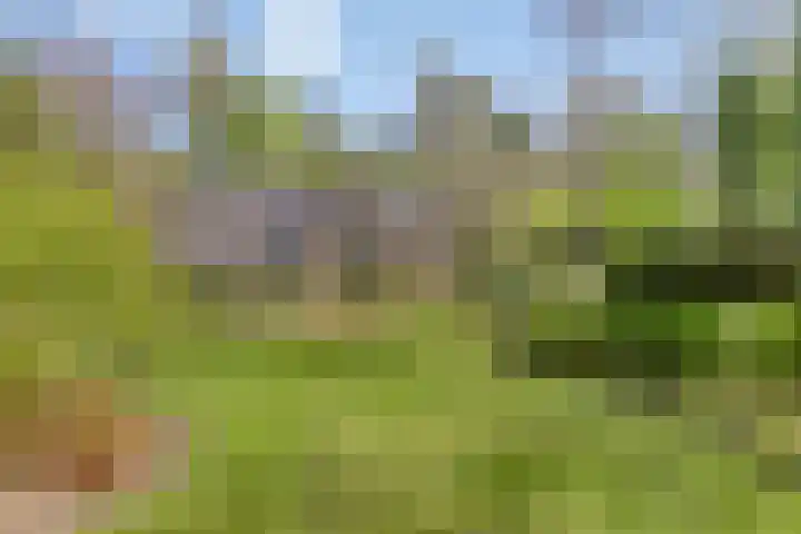 Torenweg 17 Epe thumbnail 4