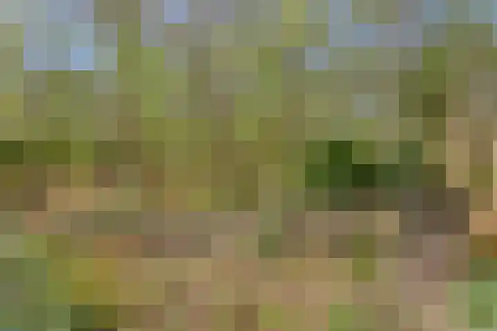 Torenweg 17 Epe thumbnail 41