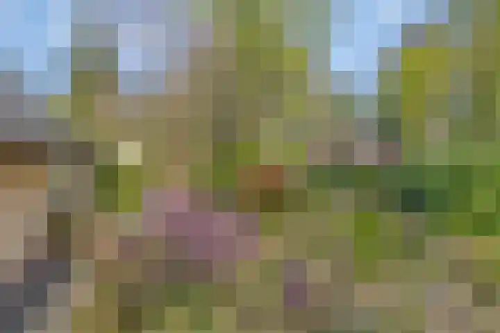 Torenweg 17 Epe thumbnail 48
