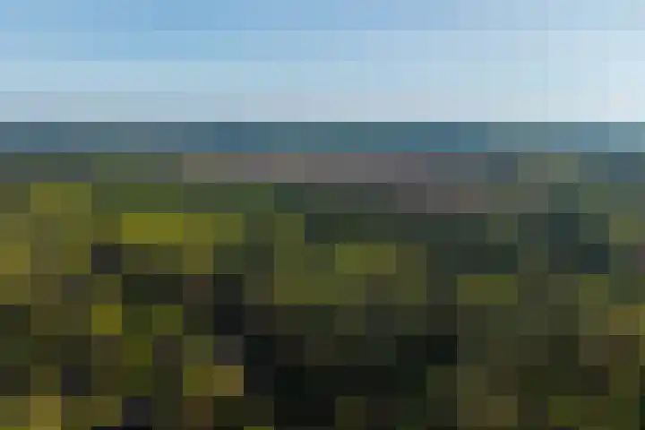 Torenweg 17 Epe thumbnail 52