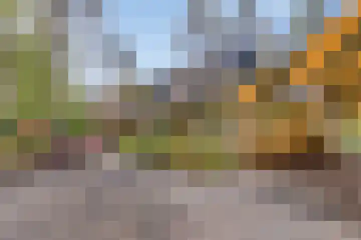 Torenweg 17 Epe thumbnail 6
