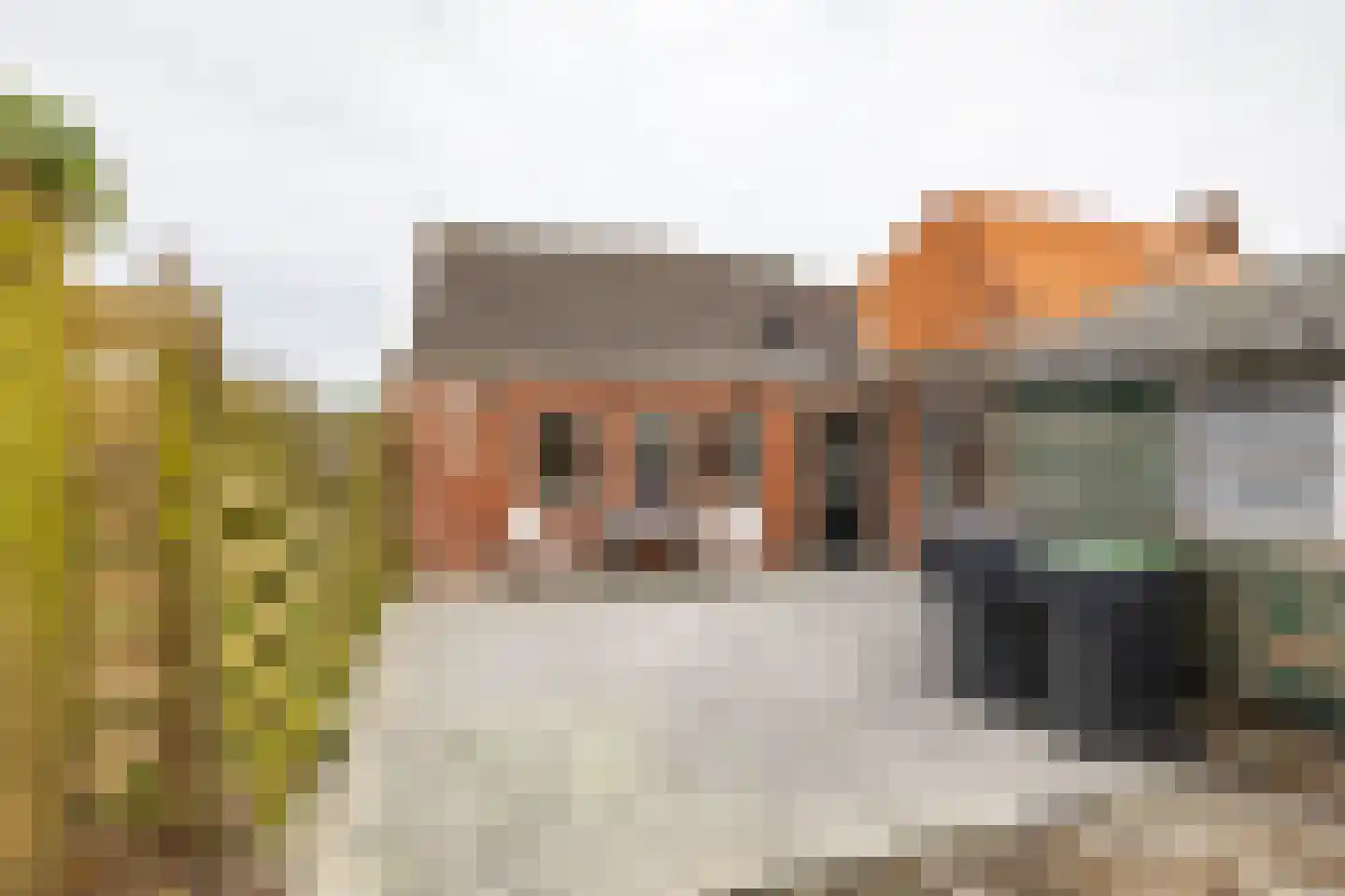 Torenweg 18 Warffum thumbnail 7