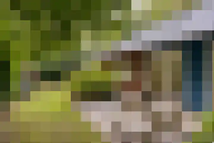 Torenweg 28 Epe thumbnail 20