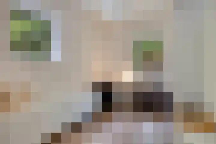 Torenweg 28 Epe thumbnail 29