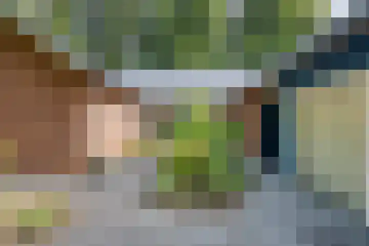 Torenweg 28 Epe thumbnail 32