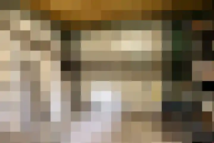 Torenweg 28 Epe thumbnail 34
