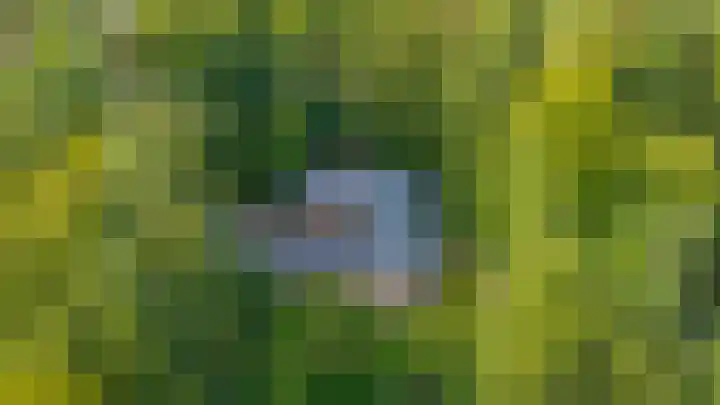 Torenweg 28 Epe thumbnail 47