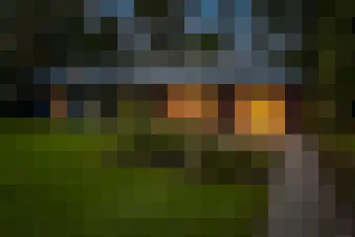 Torenweg 28 Epe thumbnail 48