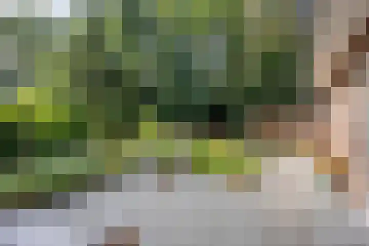 Torenweg 28 Epe thumbnail 49