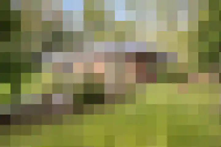 Torenweg 28 Epe thumbnail 51