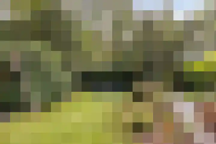 Torenweg 28 Epe thumbnail 52